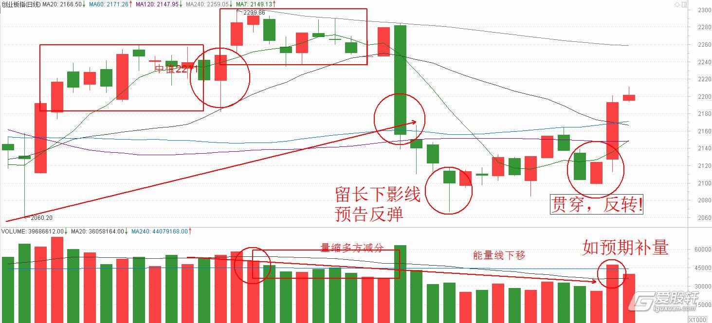 央媒点赞是对湛江特色民俗的认可